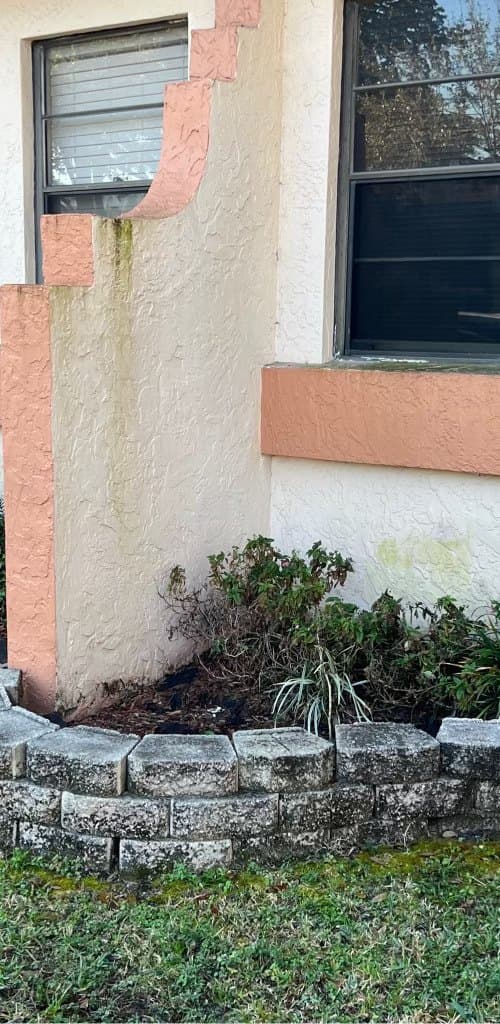 Home exterior corner before — algae-streaked stucco and a dirty retaining wall