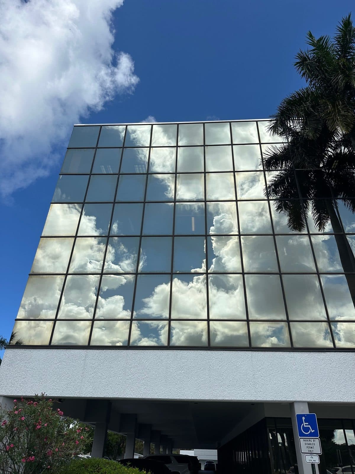 Spotless mirrored-glass commercial windows